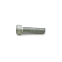 Wilwood bolt M10X1.25X40 mm LG shcs 12.9 WES072 CL1 silver iso 4762/DIN 912
