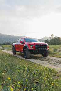 DV8 Offroad Ford 17-20 Ford F-150 Raptor Tube Front Bumper