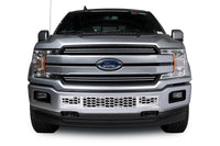 Putco 18-20 Ford F-150 - Hex Shield Style - Polished SS Bumper Grille Inserts