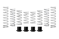 Eibach Pro-UTV 2023 Polaris RZR PRO XP 4 Sport/Premium Stage 2 Performance Springs