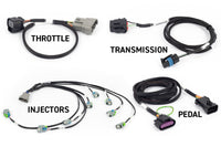 Haltech NEXUS Rebel LS Gen IV 6-Pin DBW Throttle/EV6 Injectors/Manual Transmission